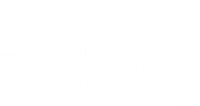 thebestwaytocleanlogo white